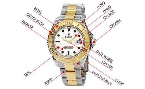 d&g watch repair|d meaning in english.